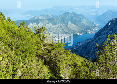 Bucht von Kotor Sommer Neblige Sicht von oben (Montenegro) Stockfoto