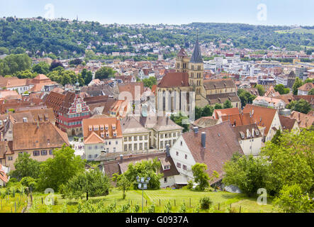 Esslingen am Neckar (Fluss), Blick vom Weinberg Stockfoto