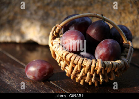 Pflaumen Stockfoto