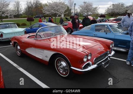 Ein 1962 Corvette Cabrio bei einer Autoshow. Stockfoto