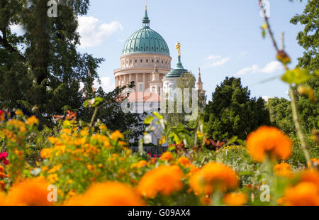 Kuppel und alten Rathaus in Potsdam hinter einem blühenden park Stockfoto