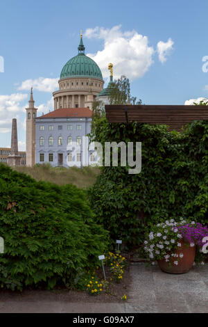 Kuppel und alten Rathaus in Potsdam hinter einem blühenden park Stockfoto