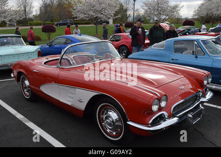 Ein 1962 Corvette Cabrio bei einer Autoshow. Stockfoto