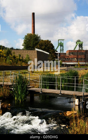 Wassergarten Reden mir, Schiffweiler, Deutschland Stockfoto