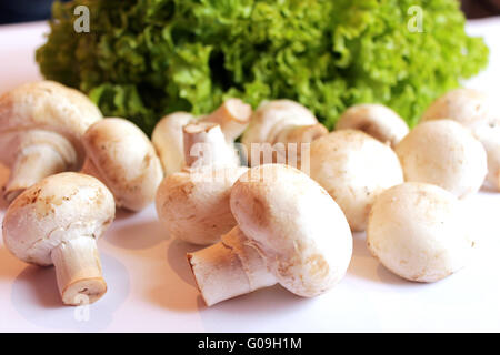 schöne Agaric und bereit für die cookin Kopfsalat Stockfoto