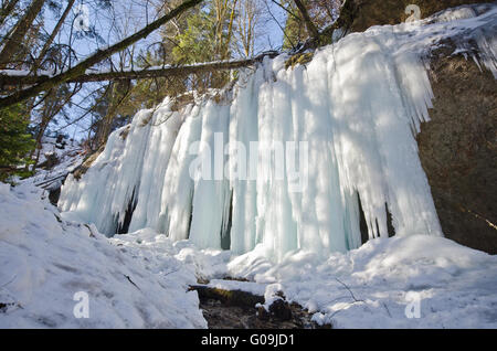 Eiszapfen in den Eistobel Stockfoto