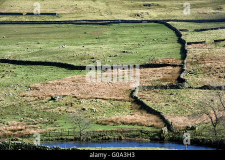 Trockenmauer Stockfoto