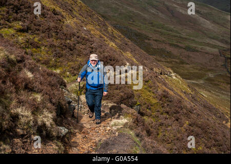 Ein Hillwalker auf Amtsenthebung Rake The Brennand Tal Wald von Bowland Stockfoto