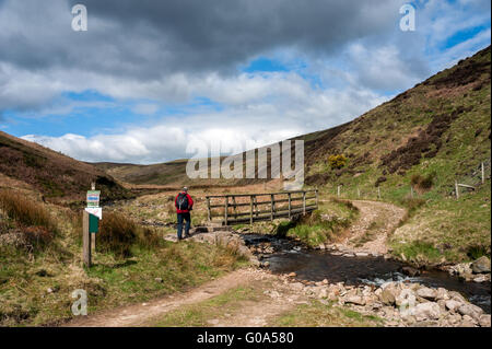 Fußgängerbrücke über den Hareden Bach in den Wald von Bowland Stockfoto