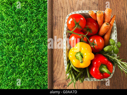 Frisch geerntete Gemüse und Kräuter in einem weißen Korb und grünen Rasen auf einem Holztisch Stockfoto