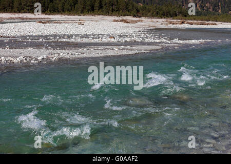 Wilde Flusslandschaft der Tiroler Lech, Österreich Stockfoto