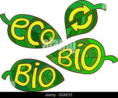 Handgezeichneten Satz von Öko-Labels. Ökologie-Inschriften auf Blatt. Stock Vektor