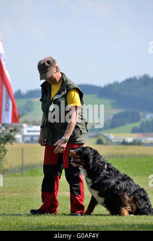 Berner Sennenhund sitzt neben des Besitzers Stockfoto