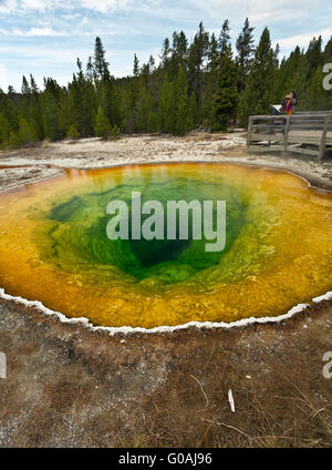 WY01592-00... WYOMING - Morning Glory Pool in Upper Geyser Basin des Yellowstone-Nationalparks. Stockfoto