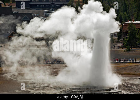WY01598-00... WYOMING - Old Faithful Geysir aus Beobachtungspunkt in Upper Geyser Basin des Yellowstone-Nationalparks. Stockfoto