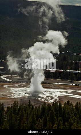 WY01599-00... WYOMING - Old Faithful Geysir aus Beobachtungspunkt in Upper Geyser Basin des Yellowstone-Nationalparks. Stockfoto