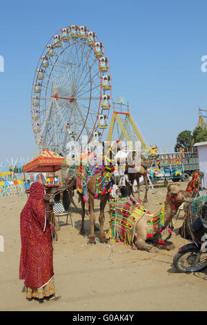 Frau Kamele und Ferris Räder bei Pushkar Camel fair Stockfoto