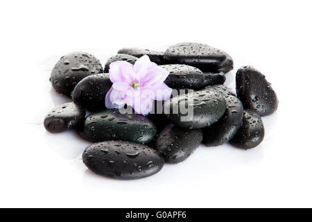 Spa-Steinen mit Tropfen und Blumen isoliert auf whi Stockfoto