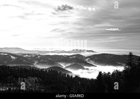 Sonnenaufgang über den Schwarzwald in schwarz / weiß Stockfoto