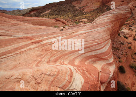 Valley of Fire Wave Stockfoto