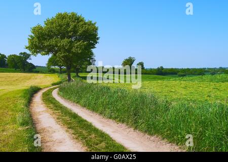 Schleswig-Holstein-Hochland Stockfoto