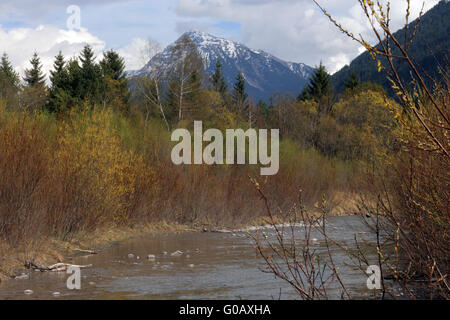 Wilde Flusslandschaft der Tiroler Lech, Österreich Stockfoto