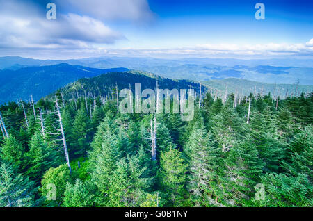 Einen weiten Blick über den Great Smoky Mountains von der Spitze des Clingmans Kuppel Stockfoto