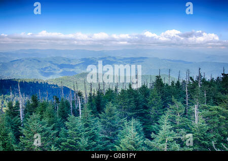 Einen weiten Blick über den Great Smoky Mountains von der Spitze des Clingmans Kuppel Stockfoto