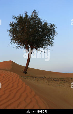 Wüste Rub Al khali Stockfoto