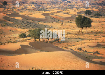 Wüste Rub Al khali Stockfoto