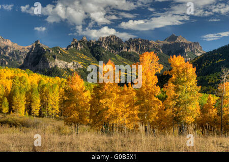 Espen im vollen Herbst Farbe in Colorado-San-Juan-Gebirge Stockfoto