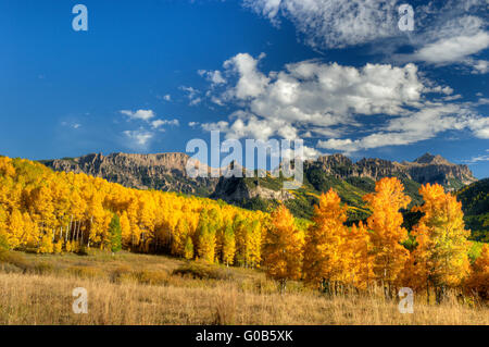 Espen im vollen Herbst Farbe in Colorado-San-Juan-Gebirge Stockfoto