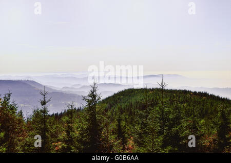 Blick von der Hornisgrinde-Schwarzwald-Deutschland Stockfoto