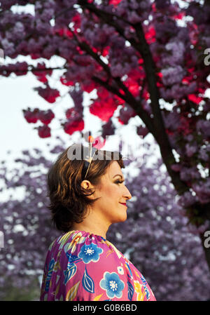 Event Cherry Blossom Festival, Schwerte, Deutschland Stockfoto