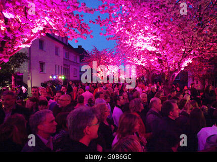 Event Cherry Blossom Festival, Schwerte, Deutschland Stockfoto