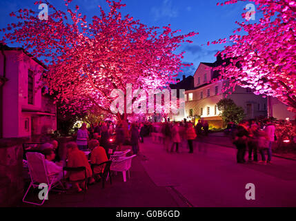 Event Cherry Blossom Festival, Schwerte, Deutschland Stockfoto