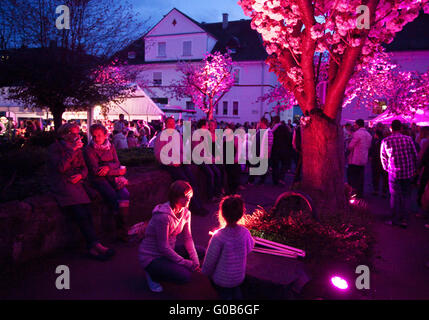 Event Cherry Blossom Festival, Schwerte, Deutschland Stockfoto