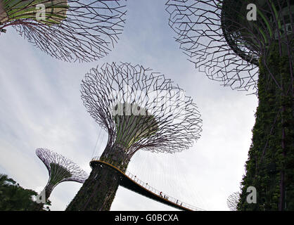 Supertress in den Gärten an der Bucht, Singapur Stockfoto