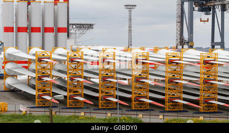 Viele Rotorblätter für große Windkraftanlagen im Hafen Stockfoto