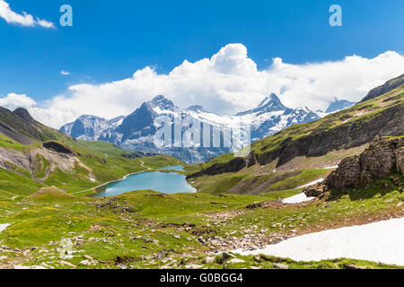 Blick auf den Bachalpsee (See) und Schreck-, Grindelwald, Schweiz Stockfoto