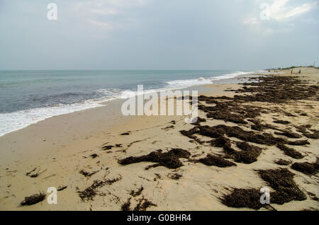 Cape Hatteras National Seashore auf Hatteras Island North Carolina USA Stockfoto