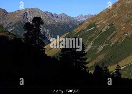 Blick auf die Allgäuer Alpen, Lechtaler Alpen, Österreich Stockfoto