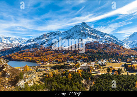 Atemberaubende Aussicht auf die Silser See und die Schweizer Alpen einschließlich der Spitze Da La Margna im Oberengadin mit goldenen Bäumen im Herbst, Stockfoto