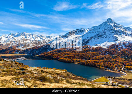 Atemberaubende Aussicht auf die Silser See und die Schweizer Alpen einschließlich der Spitze Da La Margna im Oberengadin mit goldenen Bäumen im Herbst, Stockfoto