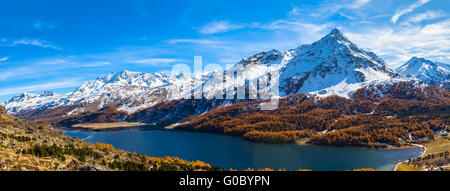 Panoama Ansicht der Silser See und die Schweizer Alpen im Oberengadin mit goldenen Bäumen im Herbst, Kanton Graubünden, Schweiz Stockfoto