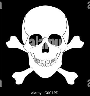 weißen Totenkopf auf schwarzem Hintergrund Stockfoto