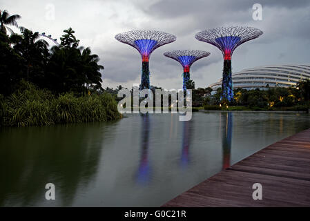 Gardens by the Bay, Singapur Stockfoto
