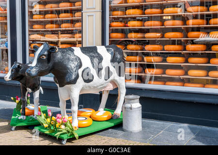 Fenster von einem Käseladen in Holland mit zwei Kuh fi Stockfoto