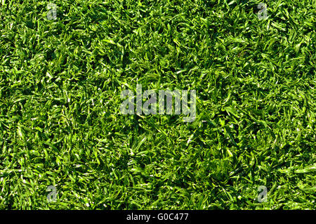 Gefälschte Grass verwendet auf Sportplätzen für Fußball, Baseball, Golf und Fußball Stockfoto