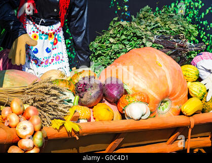 Ernte Gemüse verkauft auf der Messe Stockfoto